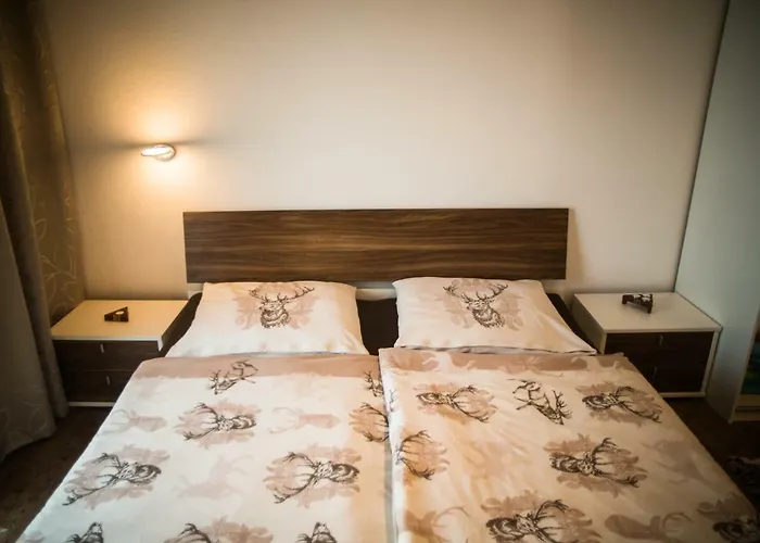 Kronlachner's Apartmán *