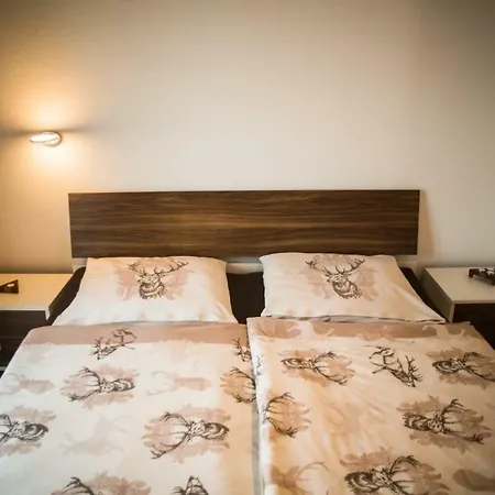 Kronlachner's شقة *